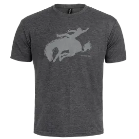 BUCKIN' BRONCO