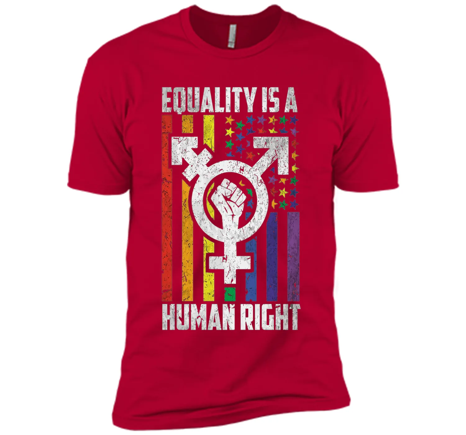 LGBT Pride Shirts Equality is a Human Right gift T-Shirt shirt