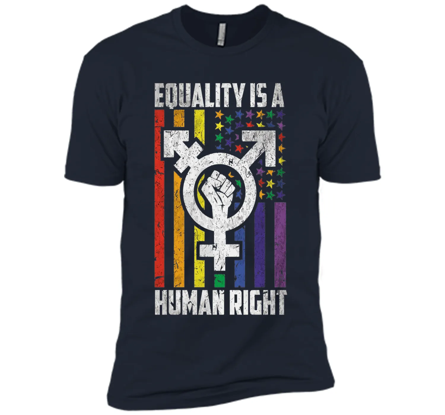 LGBT Pride Shirts Equality is a Human Right gift T-Shirt shirt