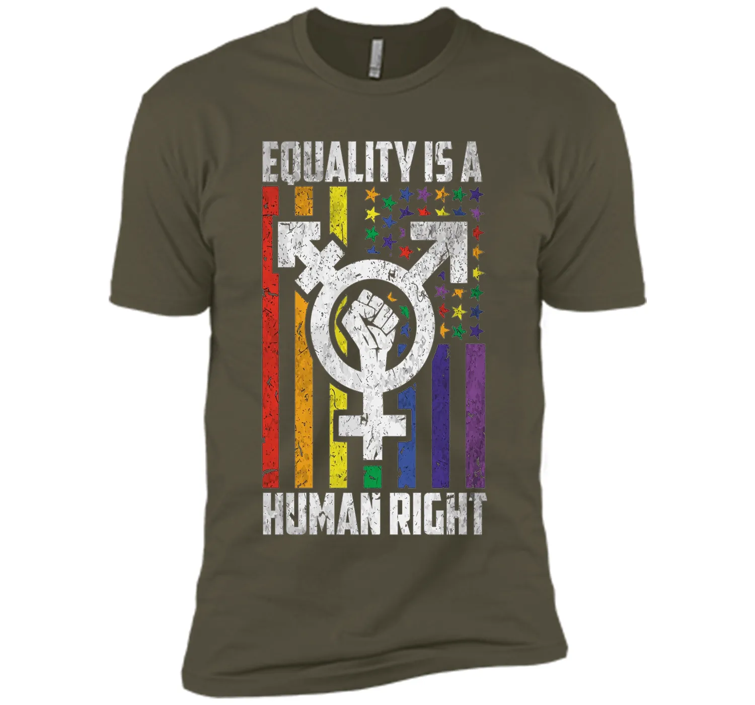 LGBT Pride Shirts Equality is a Human Right gift T-Shirt shirt