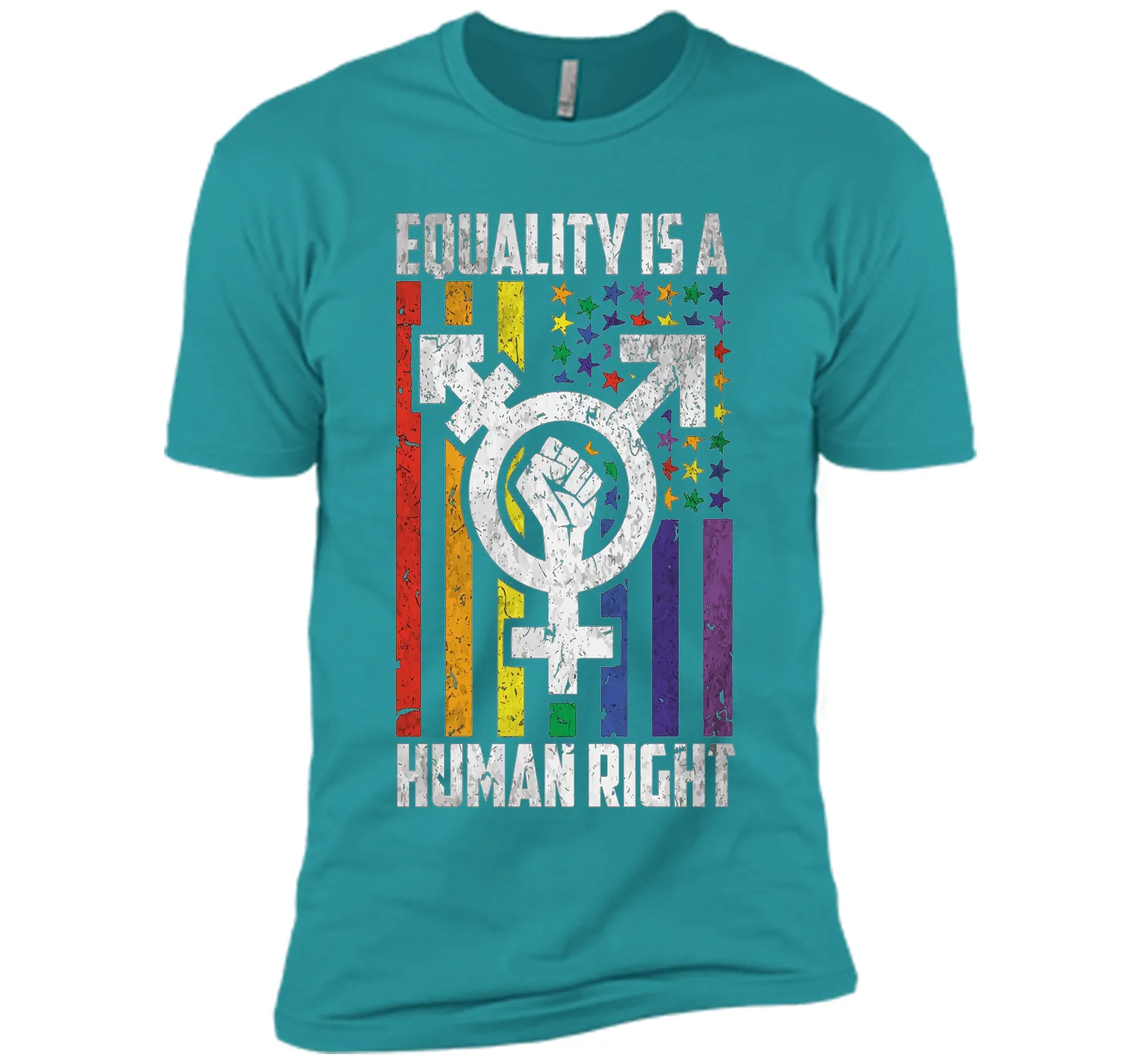 LGBT Pride Shirts Equality is a Human Right gift T-Shirt shirt