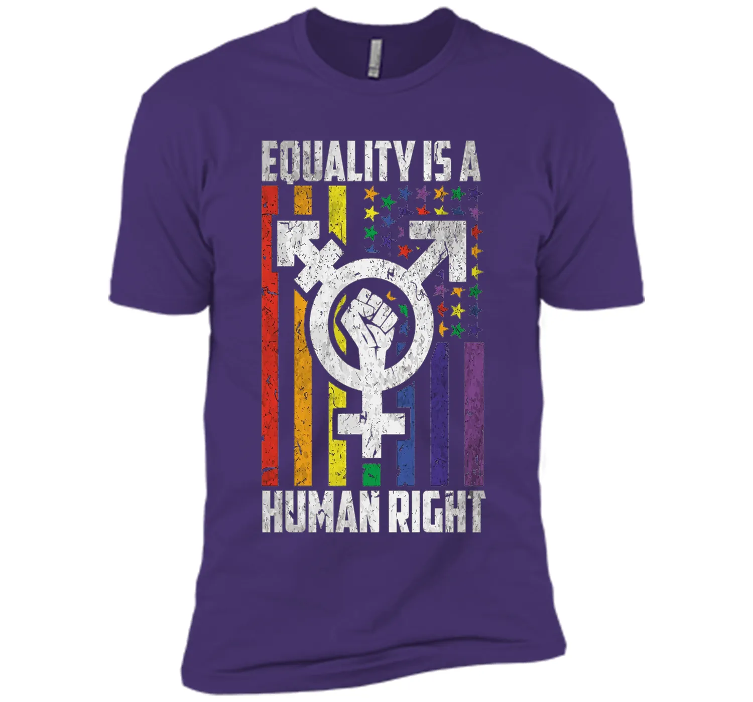 LGBT Pride Shirts Equality is a Human Right gift T-Shirt shirt