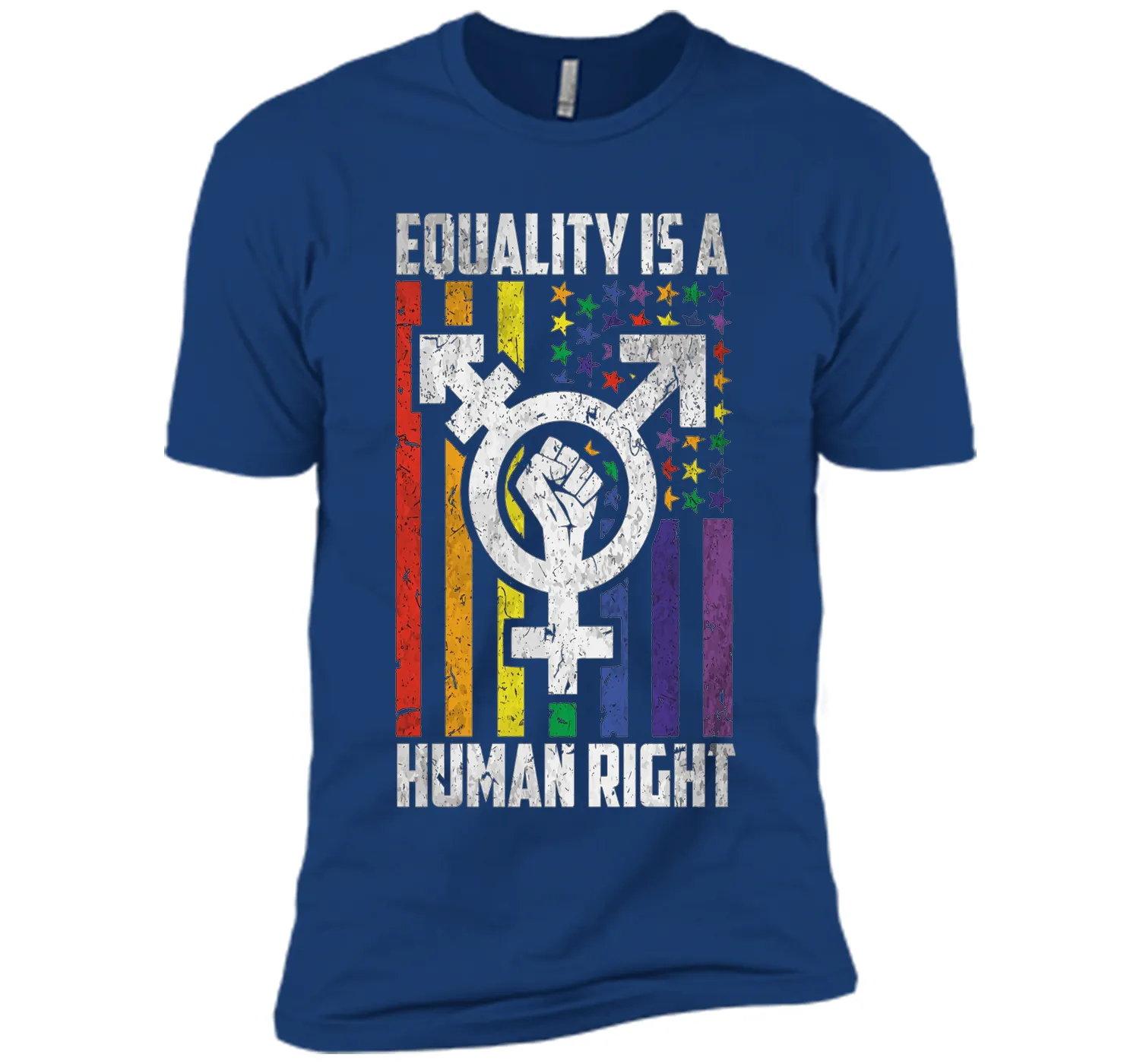 LGBT Pride Shirts Equality is a Human Right gift T-Shirt shirt