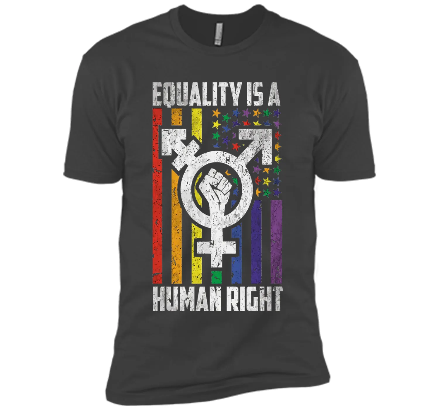 LGBT Pride Shirts Equality is a Human Right gift T-Shirt shirt