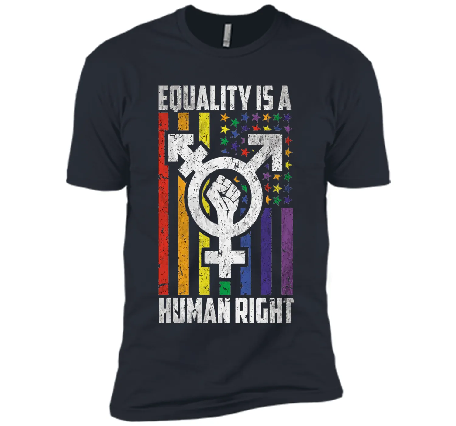 LGBT Pride Shirts Equality is a Human Right gift T-Shirt shirt